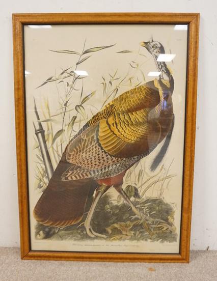 LARGE AUDUBON PRINT (1 of 4)