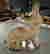 item-128952552=3
