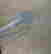 item-129001075=4