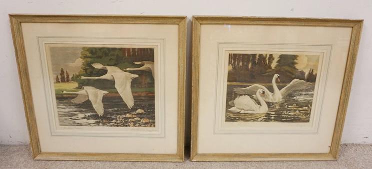 2 FRAMED & MATTED SWAN PRINTS (1 of 4)