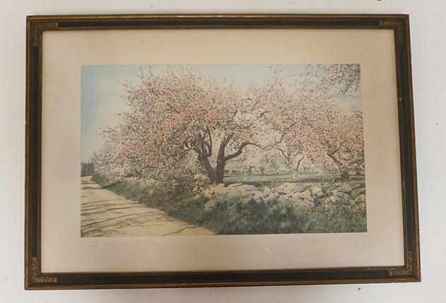 SIGNED WALLACE NUTTING PRINT (1 of 4)