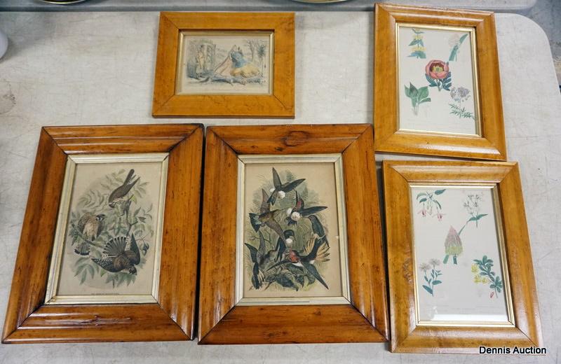 5 FRAMED PRINTS (1 of 1)