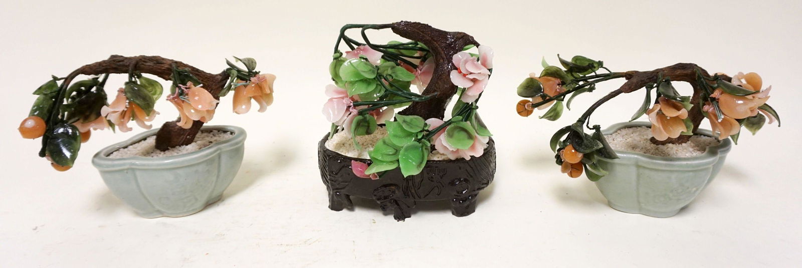 3 ASIAN JADE TREES (1 of 3)