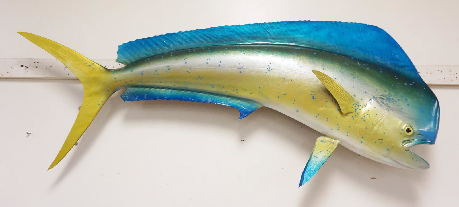 WALL MOUNTED FISH (1 of 1)