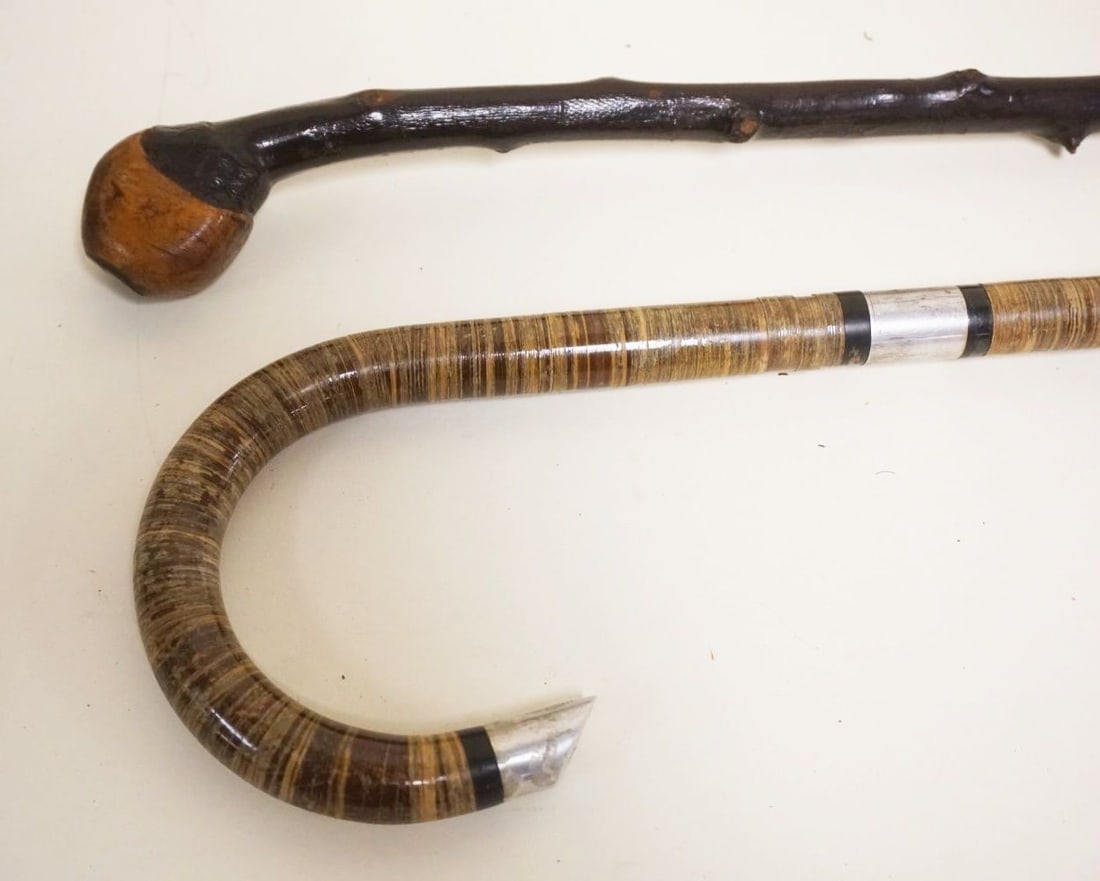 LOT OF 2 CANES/WALKING STICKS (1 of 4)