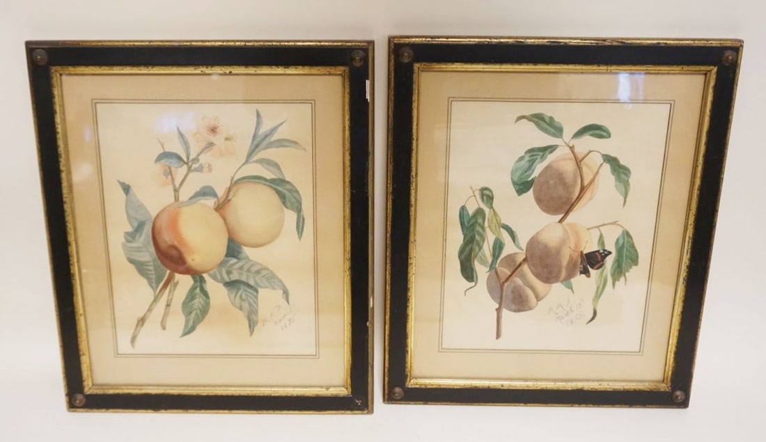2 FRAMED WATERCOLORS OF FRUIT (1 of 2)