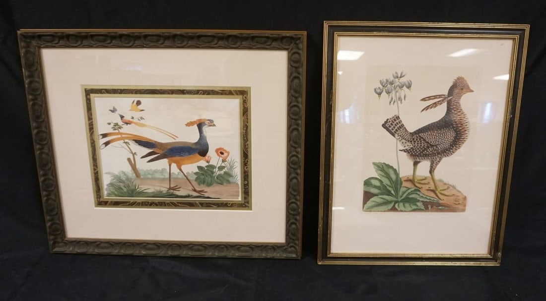 2 FRAMED PHEASANT PRINTS (1 of 3)