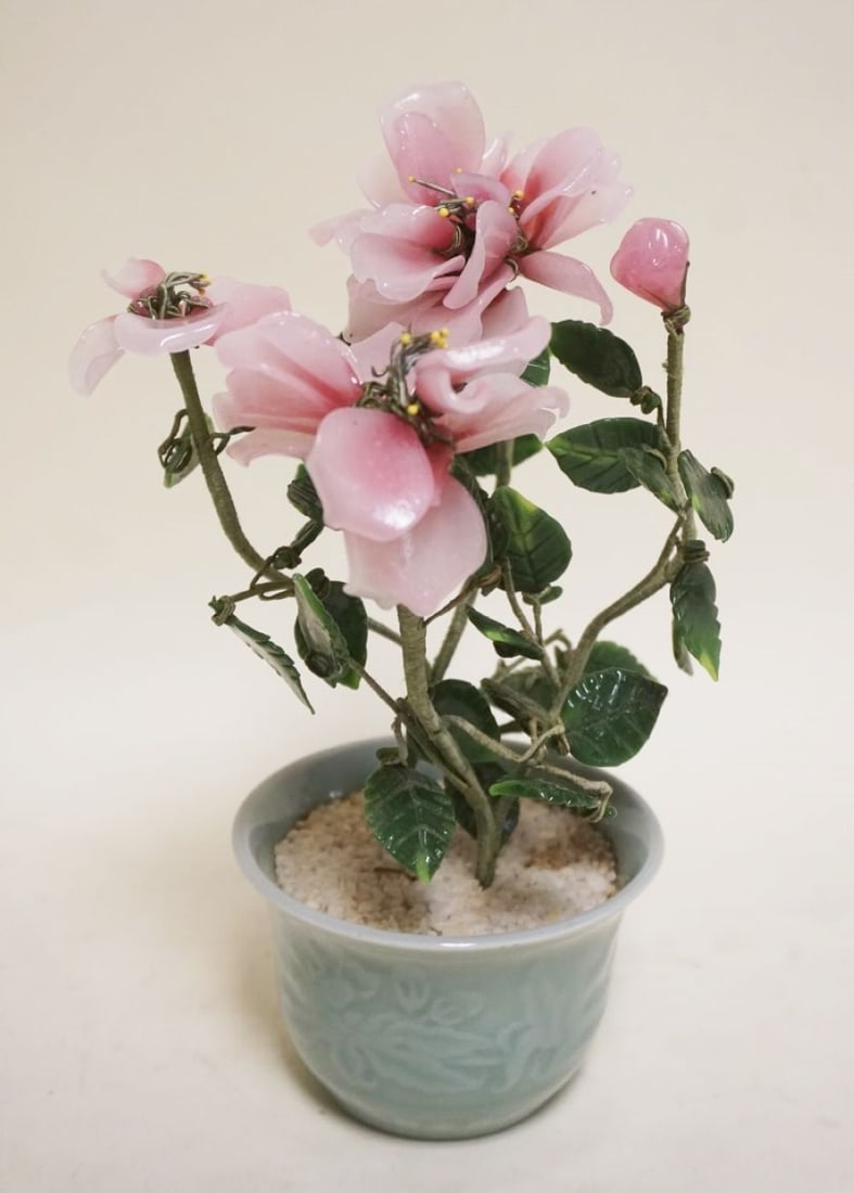 ASIAN JADE FLOWER IN POT (1 of 3)