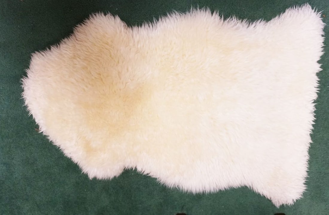 SHEEP SKIN RUG DECOR (1 of 2)