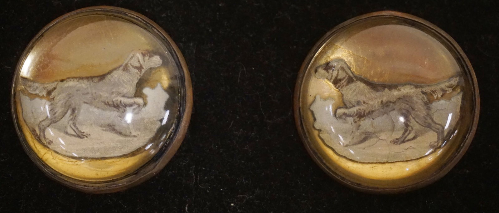 HORSE BRIDLE ROSETTES: HORSE BRIDLE ROSETTES, PAIR, IMAGE OF DOG, APPROXIMATELY 1 3/4 IN