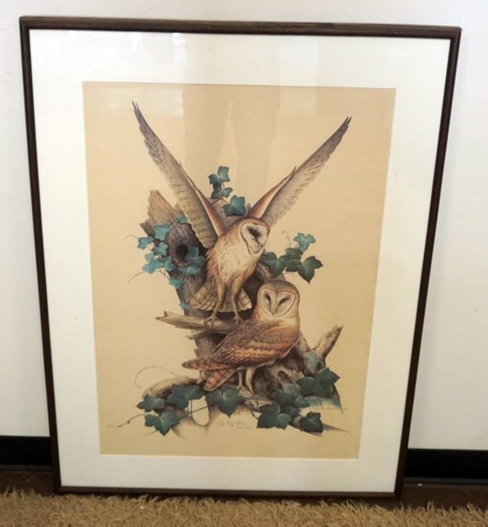 ROGER TONY PERTERSON PRINT (1 of 4)