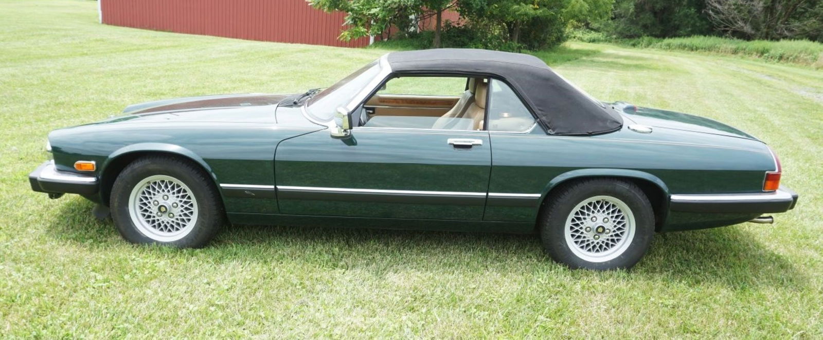 1990 JAGUAR (1 of 20)