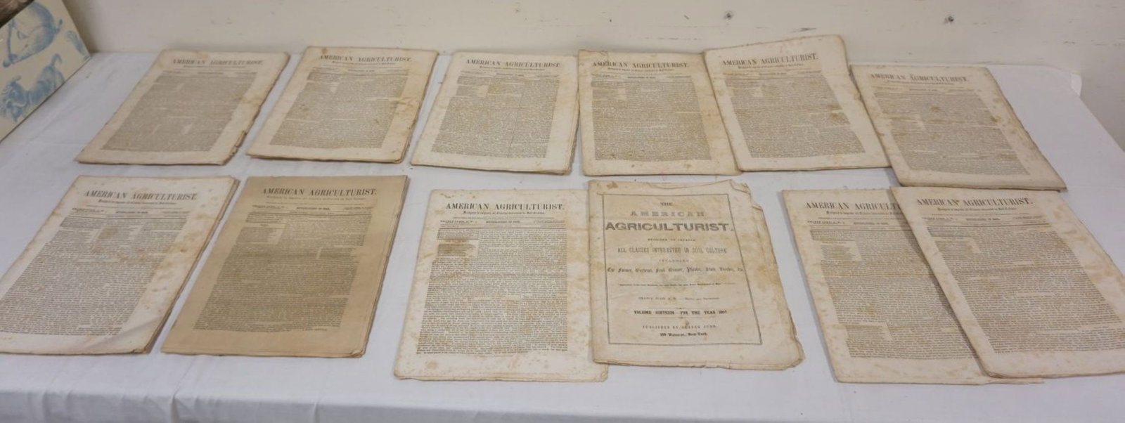 12 ANTIQUE AMERICAN AGRICULTURIST MAGAZINES 1850'S: 12 ANTIQUE AMERICAN AGRICULTURIST MAGAZINES 1850'S