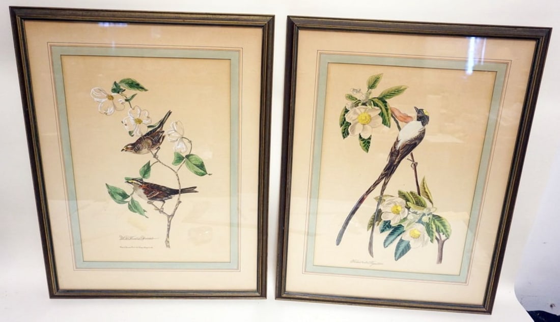 PAIR OF FRAMED COLORED BIRD PRINTS (1 of 6)