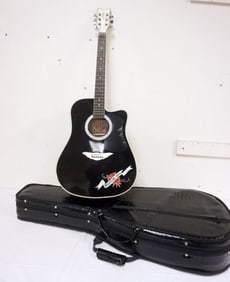 ESTEBAN CRYSTAL HEART ACOUSTIC GUITAR IN CASE