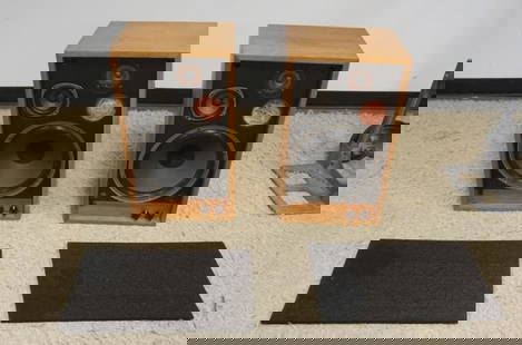 VINTAGE CUSTOM SPEAKER: VINTAGE CUSTOM SPEAKER, APPROXIMATELY 14 1/2 IN X 12 IN X 25 1/4 IN