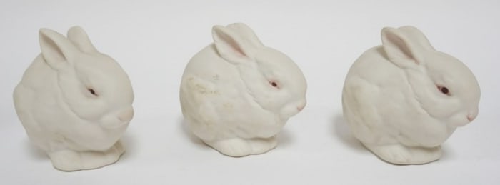 CYBIS RABBIT GROUP