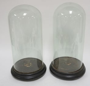PAIR OF ANTIQUE GLASS DOMES