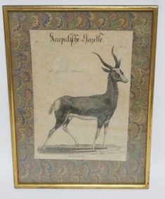 FRAMED ANTIQUE ENGRAVING OF A GAZELLE