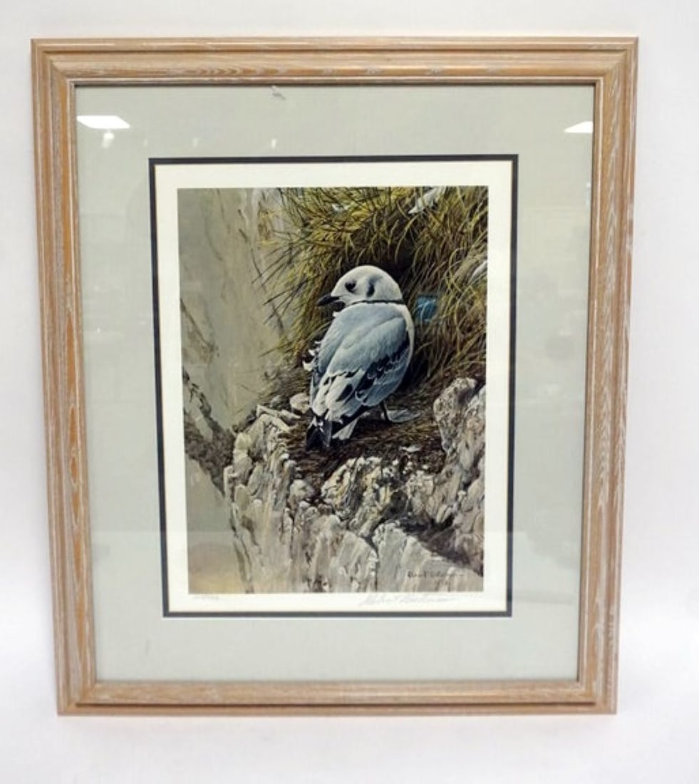 ROBERT BATEMAN YOUNG KITTIWAKE (1 of 2)
