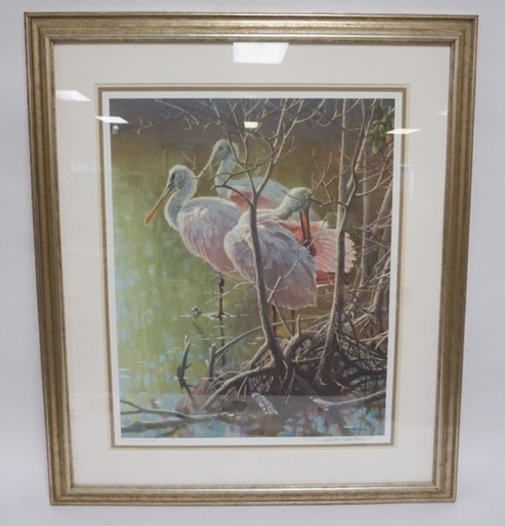 ROBERT BATEMAN MANGROVE MORNING (1 of 2)