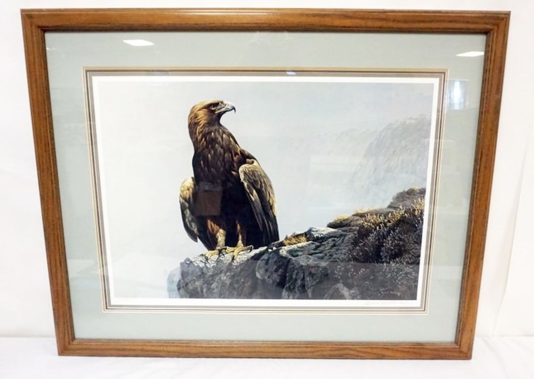 ROBERT BATEMAN IN THE HIGHLANDS GOLDEN EAGLE (1 of 3)