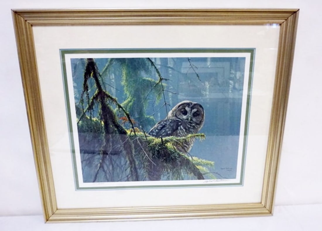 ROBERT BATEMAN MOSSY BRANCHES SPOTTED OWL (1 of 3)