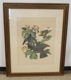 AUDUBON PRINT