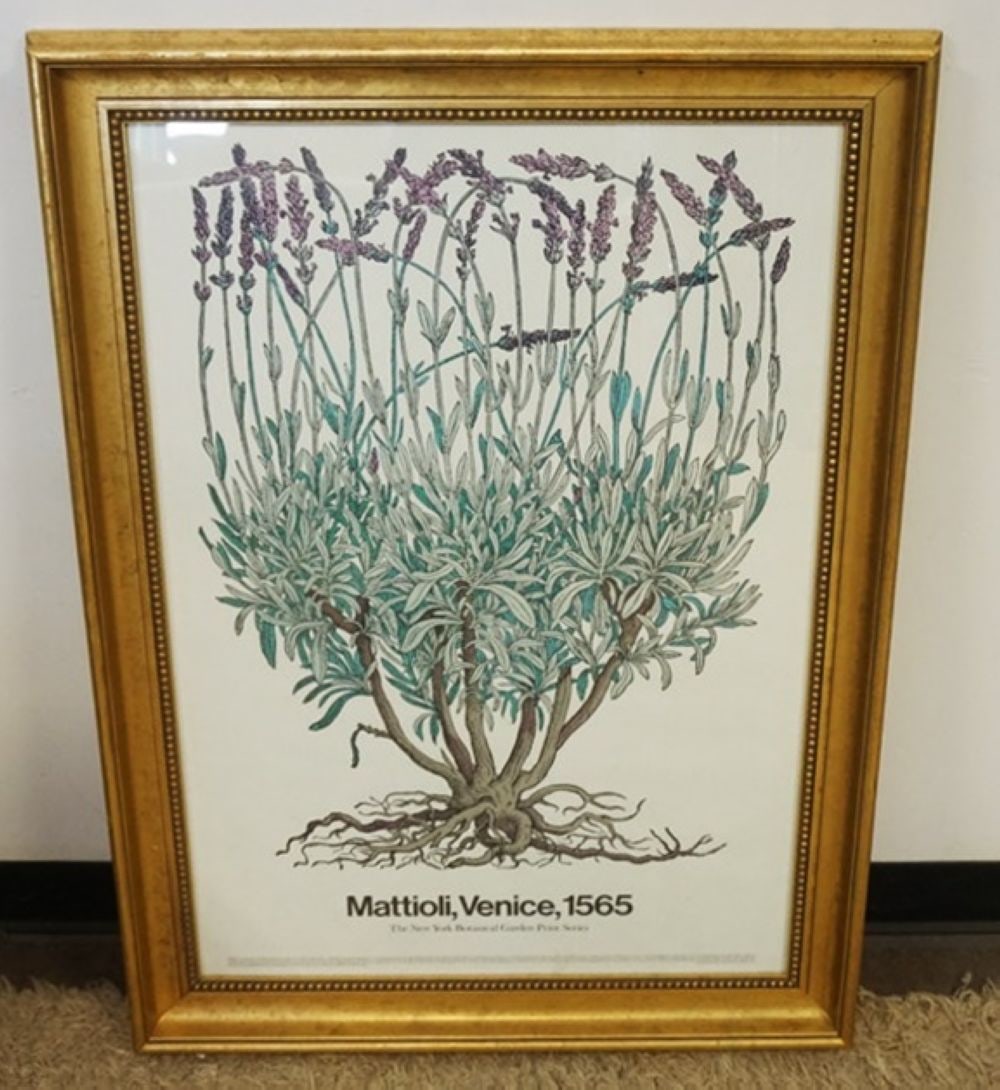 NEW YORK BOTANICAL GARDEN POSTER (1 of 2)