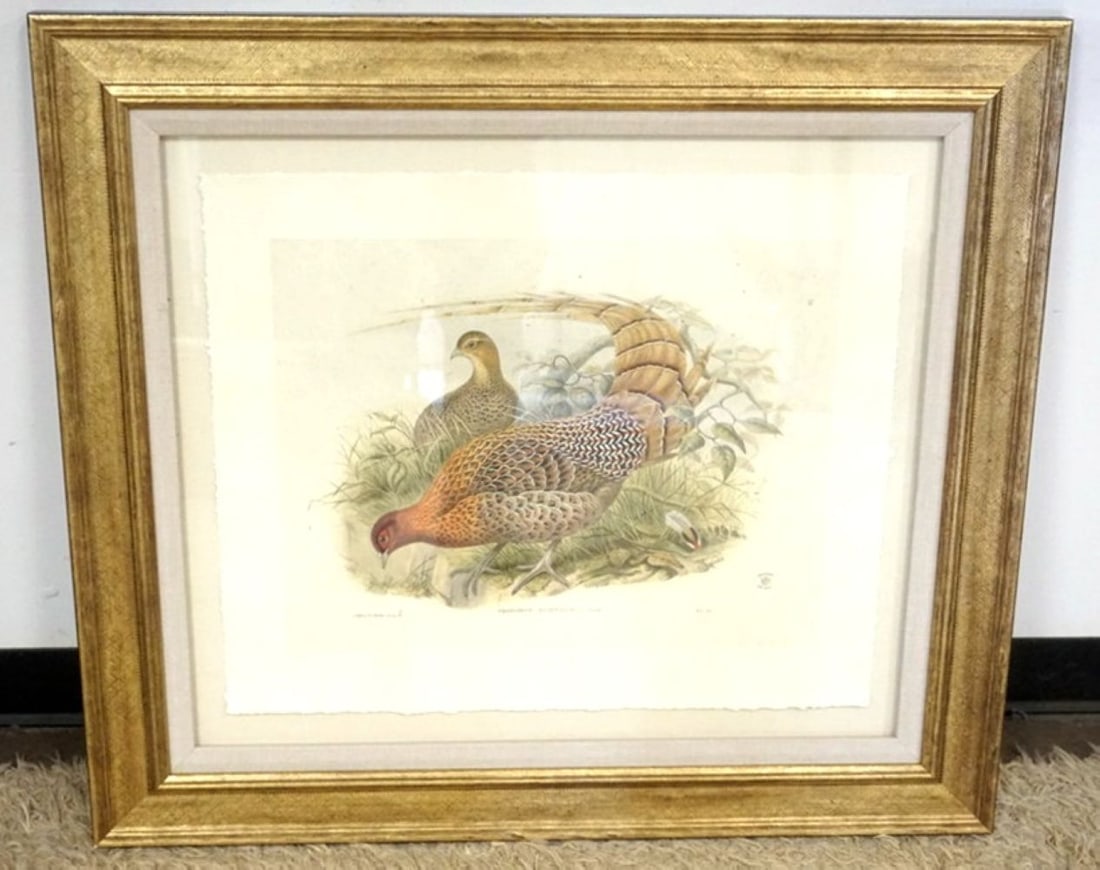 ENGLISH PHESANT PRINT: FRAMED AND MATTED ENGLISH PHESANT PRINT, NUMBERED 14/295, APPROXIMATELY 37 IN X 33 IN OVERALL
