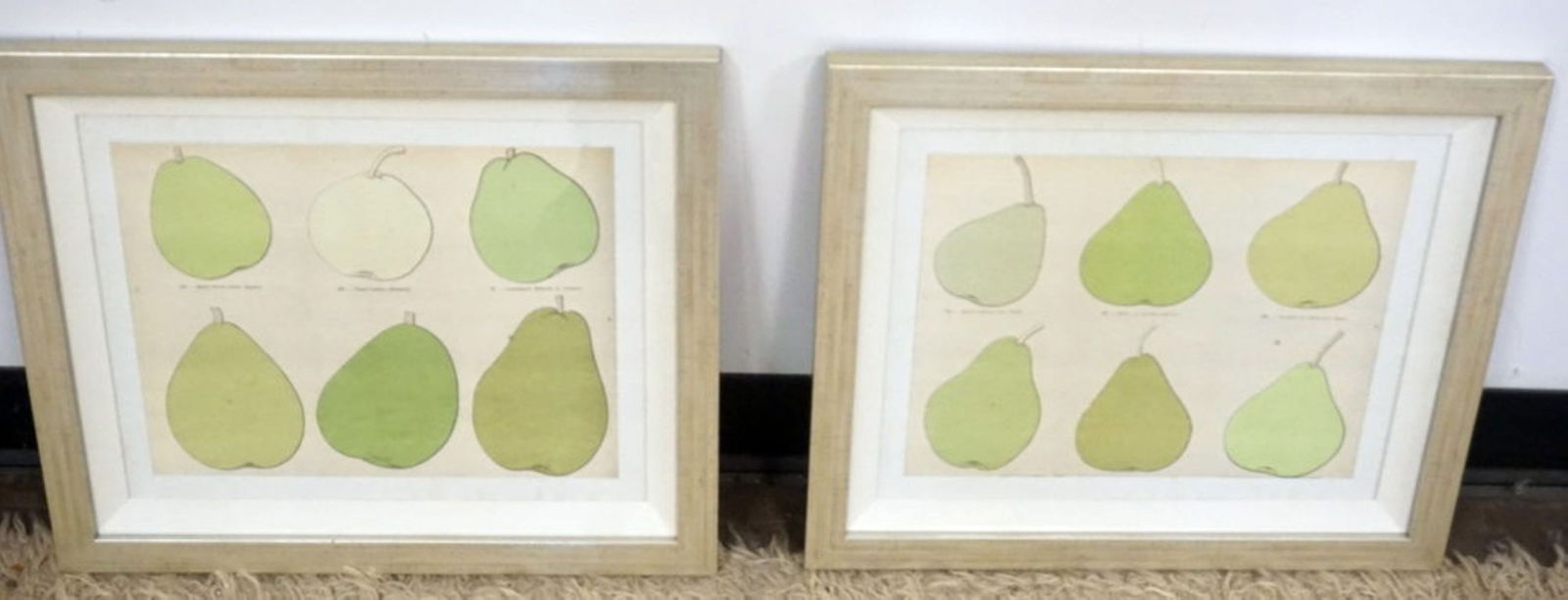 PAIR OF IMAGES OF FRUIT: PAIR OF FRAMED AND MATTED IMAGES OF FRUIT, EACH APPROXIMATELY 20 IN X 17 IN