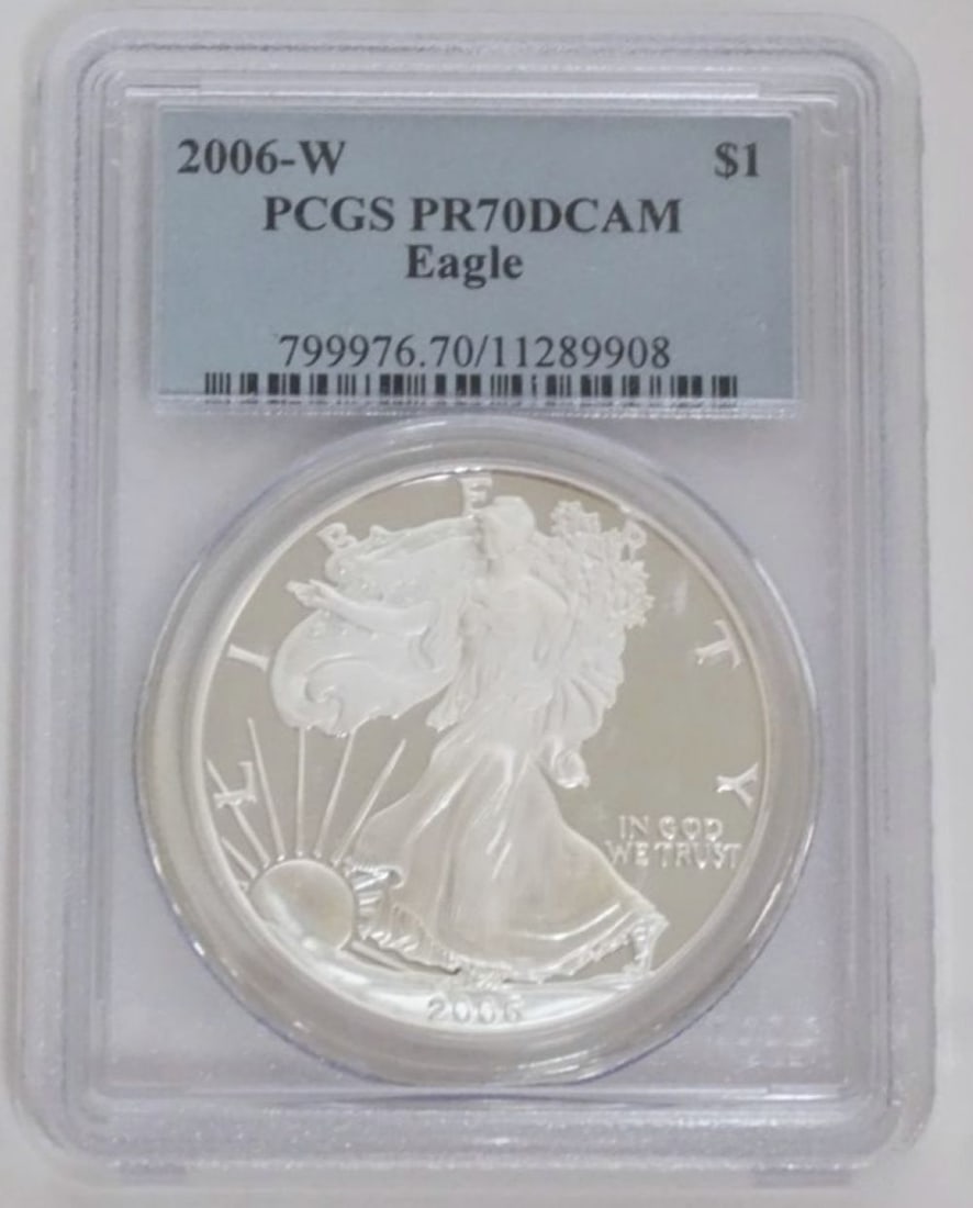 EAGLE SILVER DOLLAR (1 of 3)