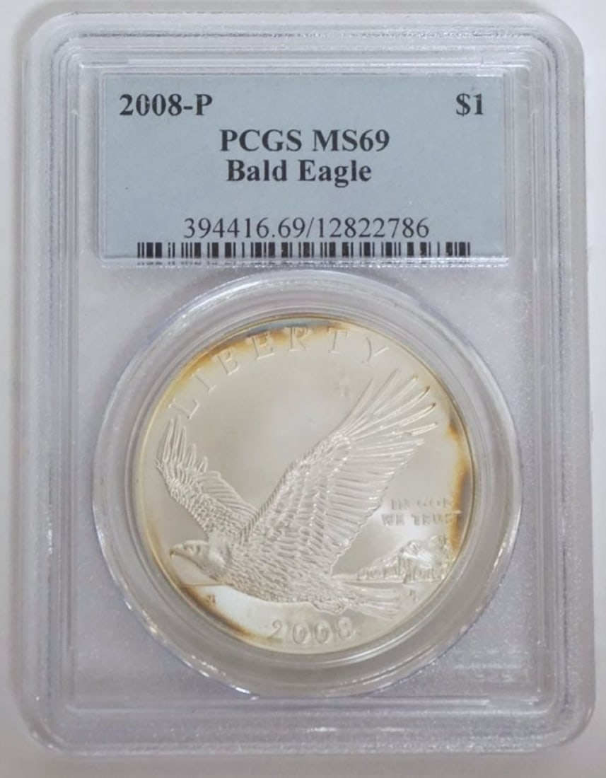 BALD EAGLE SILVER DOLLAR (1 of 2)