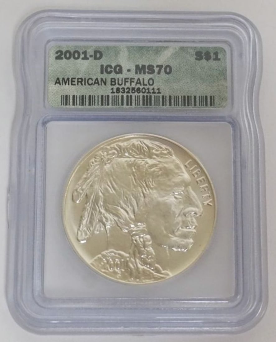AMERICAN BUFFALO SILVER DOLLAR (1 of 3)
