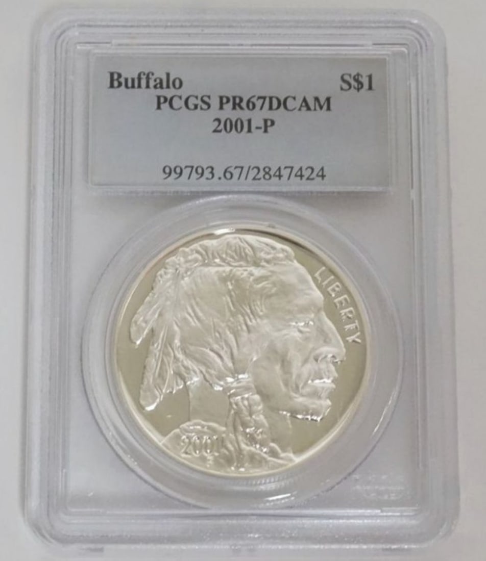 AMERICAN BUFFALO SILVER DOLLAR (1 of 3)