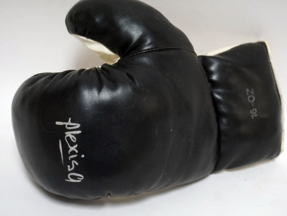 SIGNED BOXING GLOVE (1 of 2)