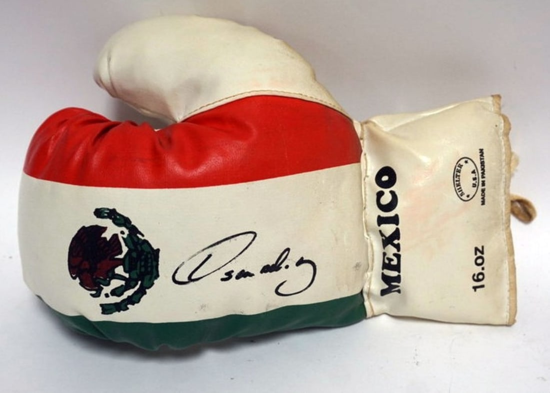 SIGNED BOXING GLOVE (1 of 2)