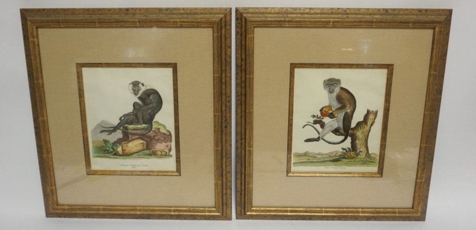 PAIR COLORED LITHOGRAPHS (1 of 3)
