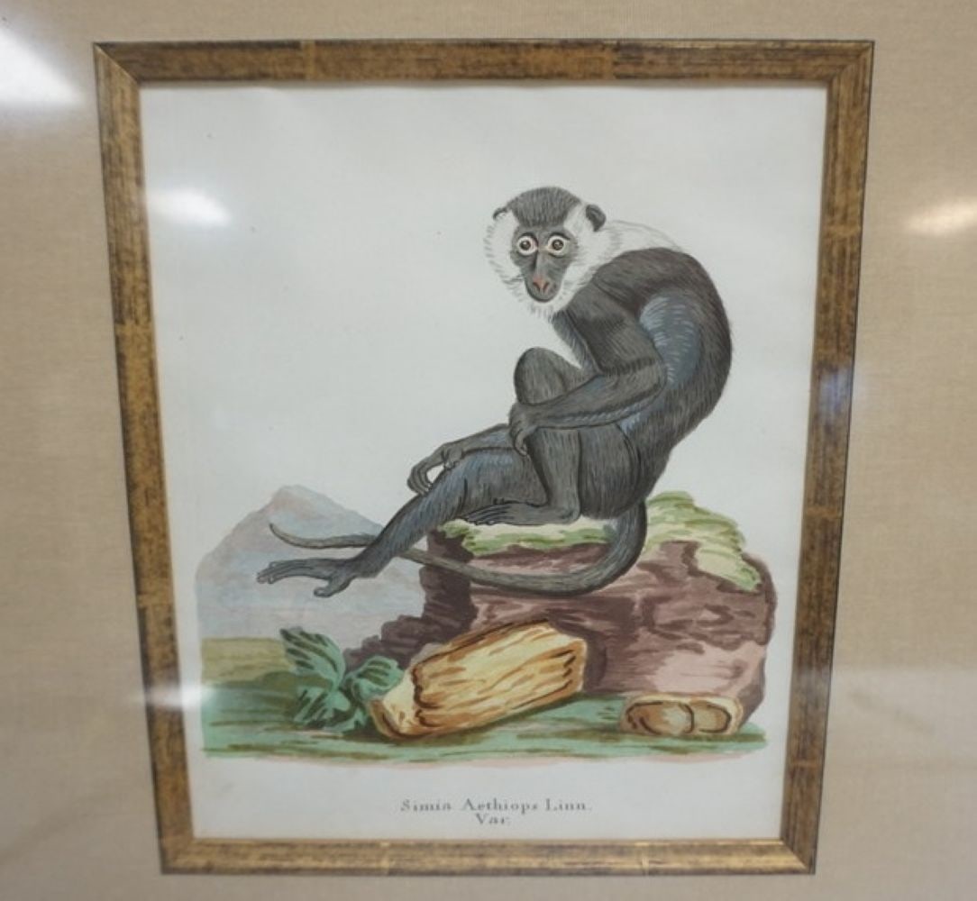 PAIR COLORED LITHOGRAPHS - 2