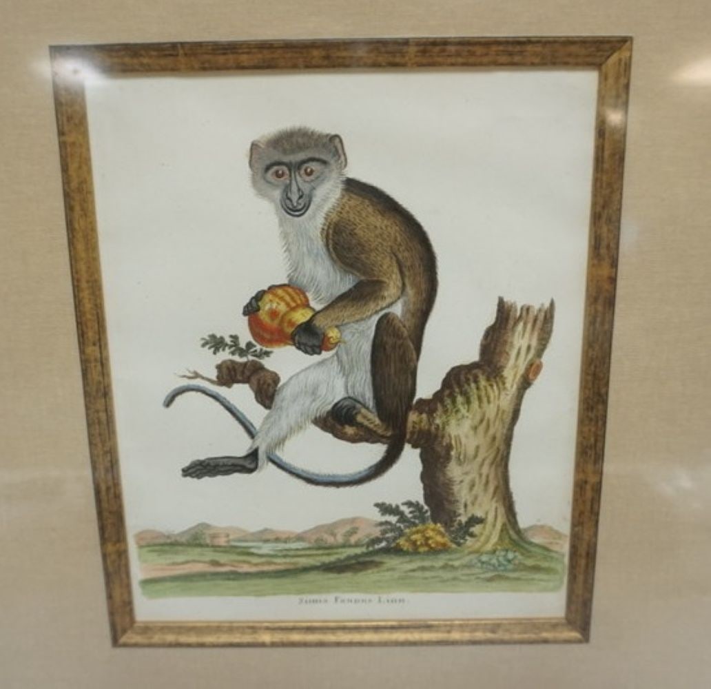 PAIR COLORED LITHOGRAPHS - 3