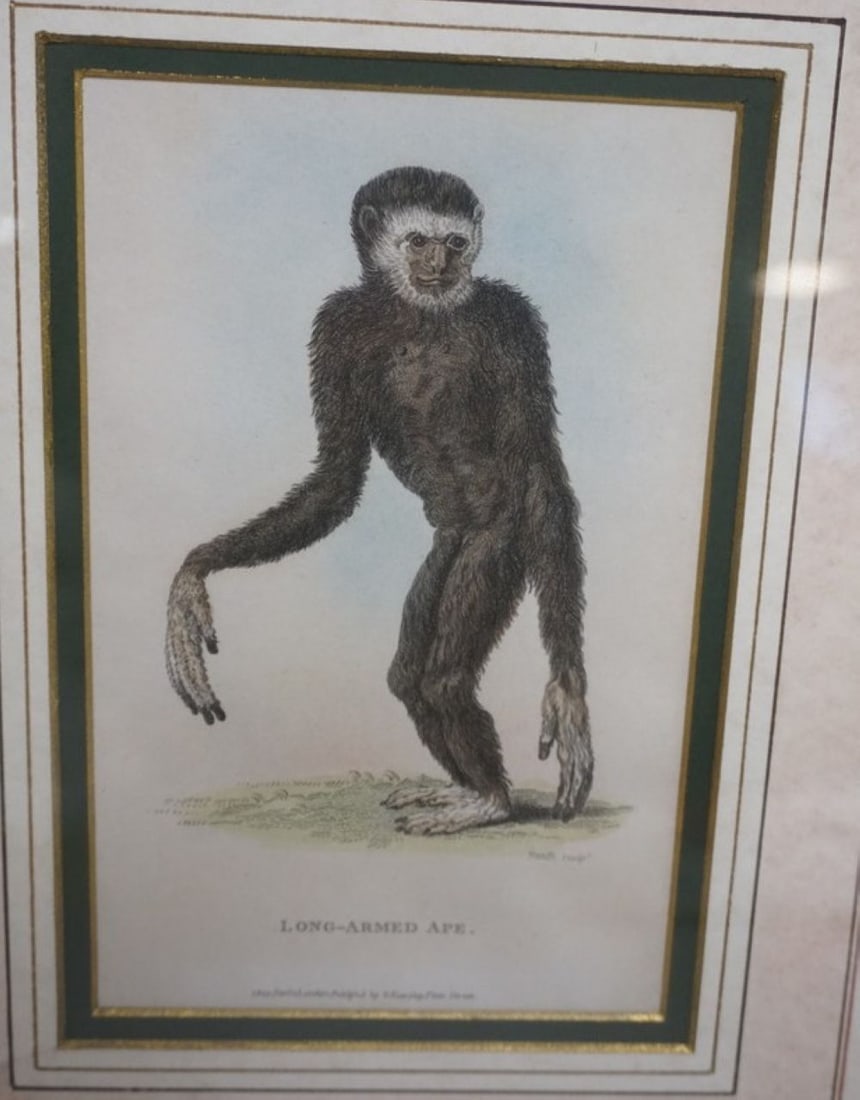 PAIR COLORED LITHOGRAPHS - 2