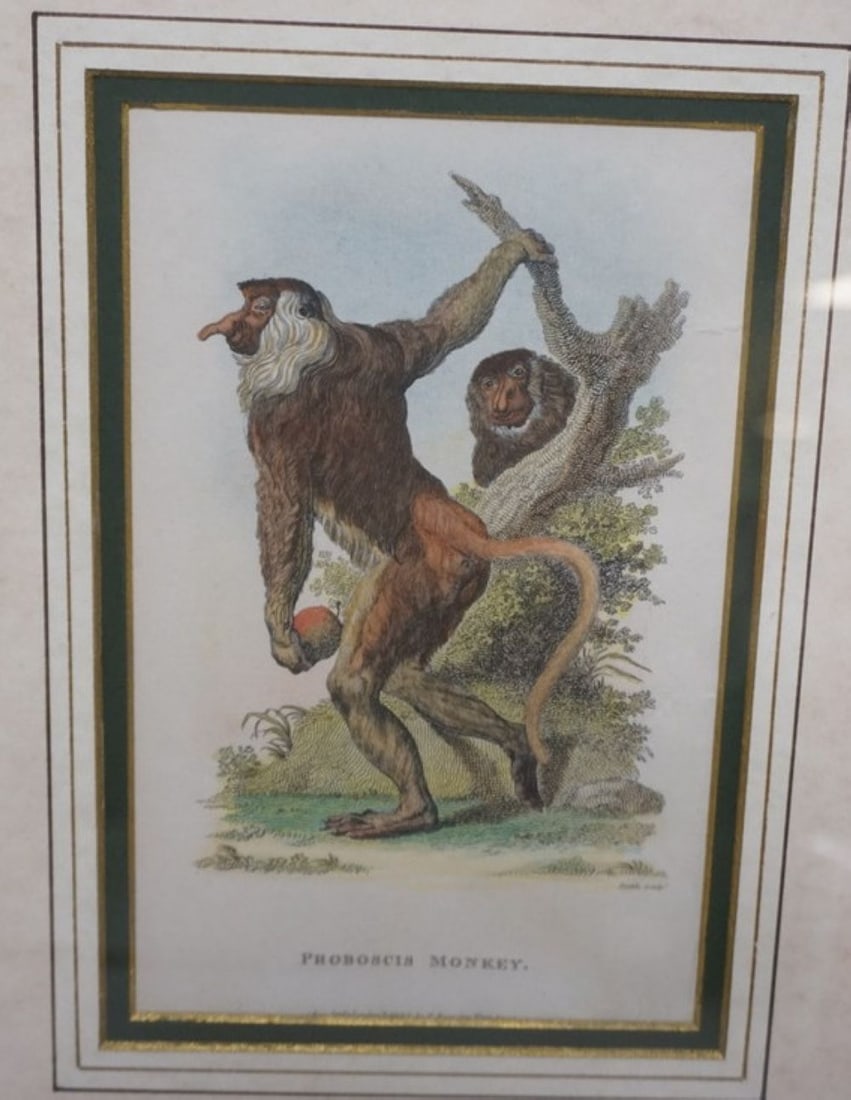 PAIR COLORED LITHOGRAPHS - 3