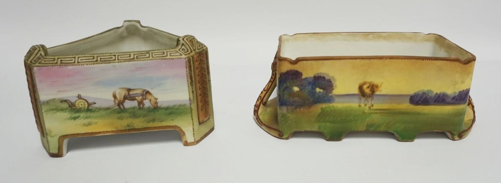 NIPPON HAND PAINTED FERNERS (1 of 6)