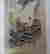item-61764452=3