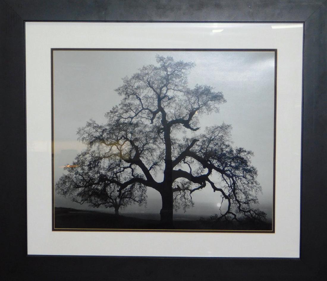 ANSEL ADAMS "OAK TREE SUNSET" LITHOGRAPH: 34"X30"