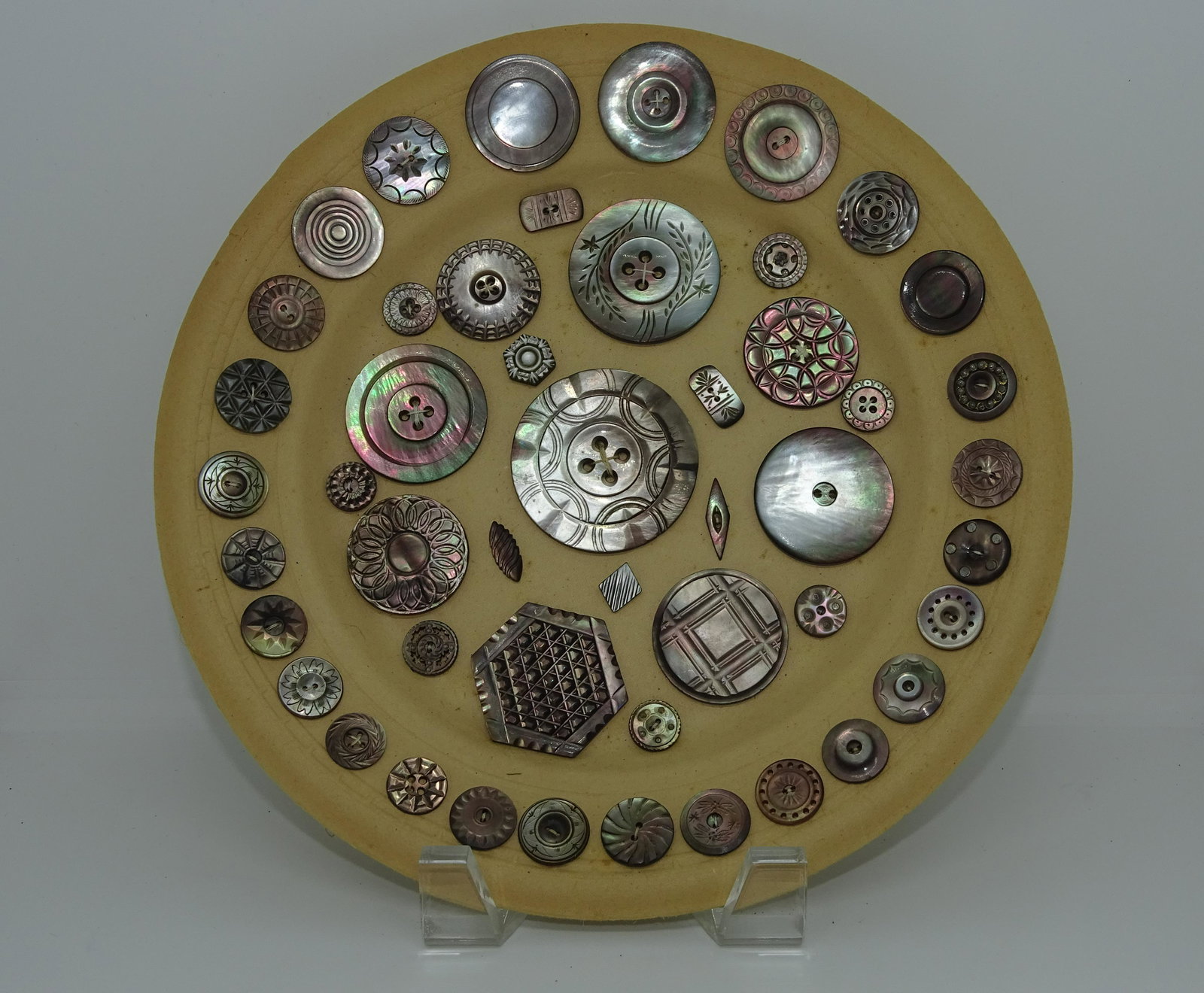 CARVED MOTHER OF PEARL BUTTON DISPLAY (1 of 1)