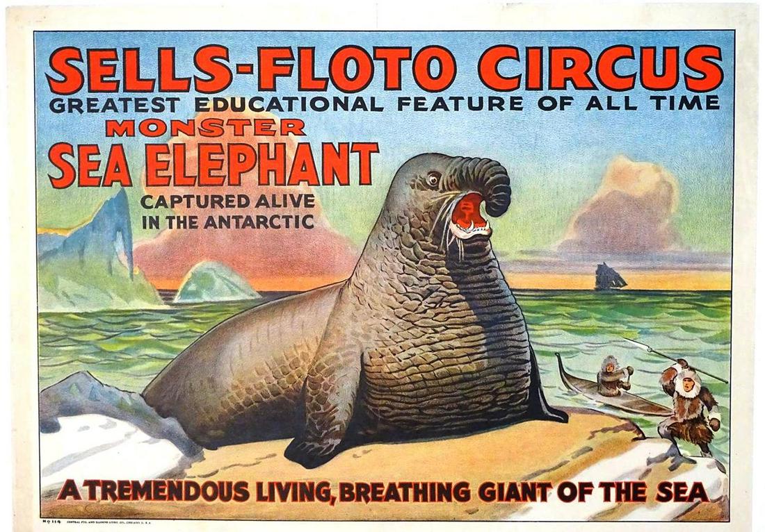 SELLS-FLOTO CIRCUS MONSTER SEA ELEPHANT (1 of 1)