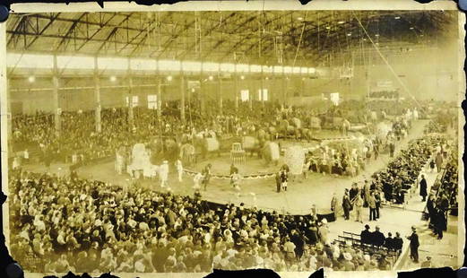 EDWARD J. KELTY (1888-1967) PHOTOGRAPH: ORIGINAL KELTY PHOTOGRAPH OF THE 1929 RBBB CIRCUS AT THE COLLUSEUM, N.Y. LOSS AT BORDERS. STAMP ON VERSO.