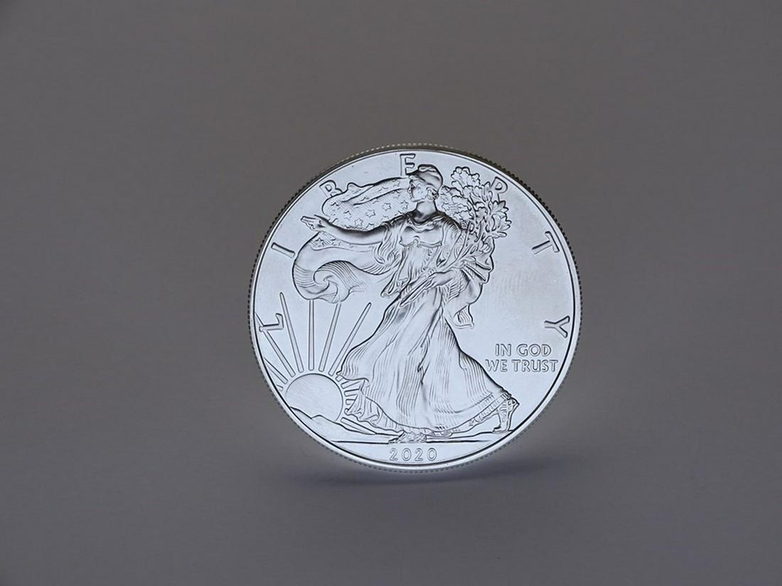 2020 AMERICAN SILVER EAGLE (1 of 1)