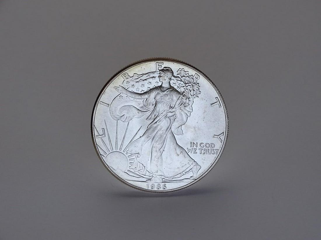 1986 AMERICAN SILVER EAGLE (1 of 1)